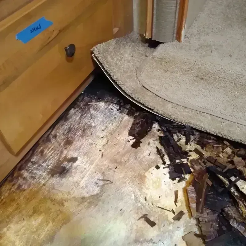 Wood Floor Water Damage in Bryan, OH